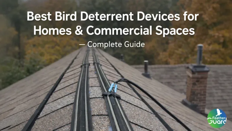 Best Bird Deterrent Devices for Homes Commercial Spaces Complete Guide