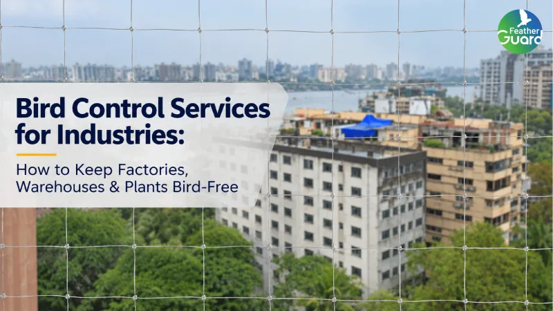 Bird Control Services for Industries: How to Keep Factories, Warehouses & Plants Bird-Free