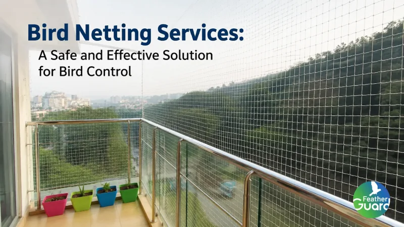 Bird Netting Services a Safe and Effective Solution for Bird Control