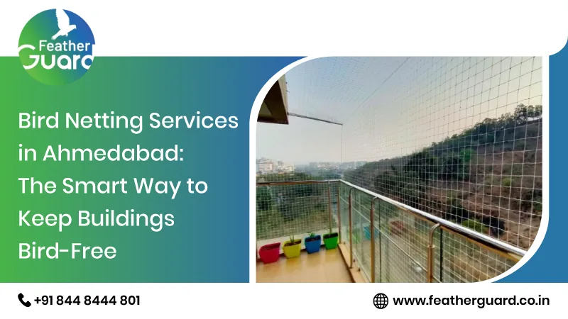 Bird Netting Services in Ahmedabad the Smart Way to Keep Buildings Bird-free