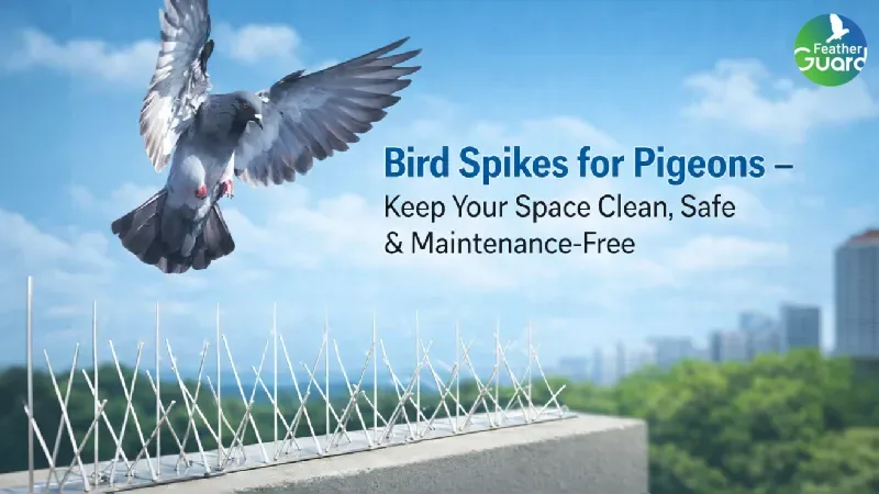 Bird Spikes for Pigeons Keep your Space Clean Safe Maintenance-free