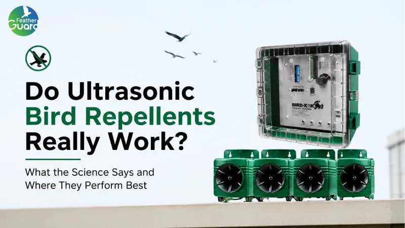 Do Ultrasonic Bird Repellents Really Work? What the Science Says and Where They Perform Best