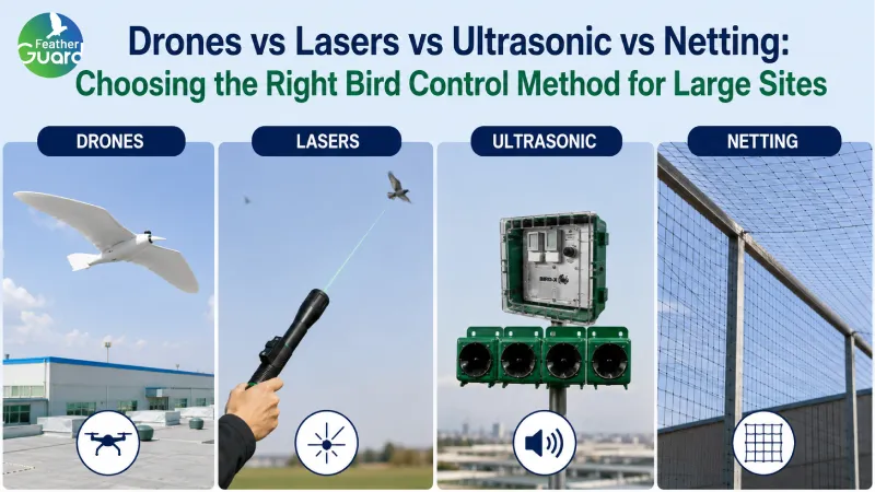 Drones vs Lasers vs Ultrasonic vs Netting: Choosing the Right Bird Control Method for Large Sites