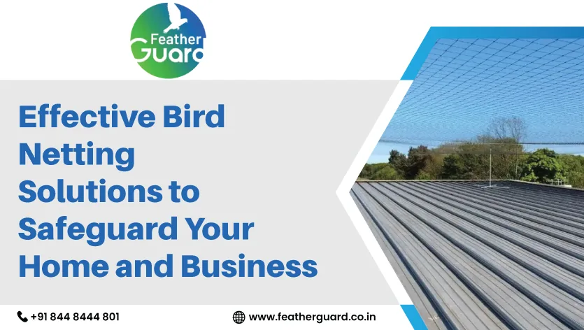 Effective Bird Netting Solutions to Safeguard your Home and Business