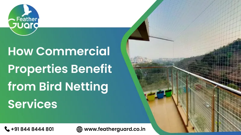 How Commercial Properties Benefit from Bird Netting Services