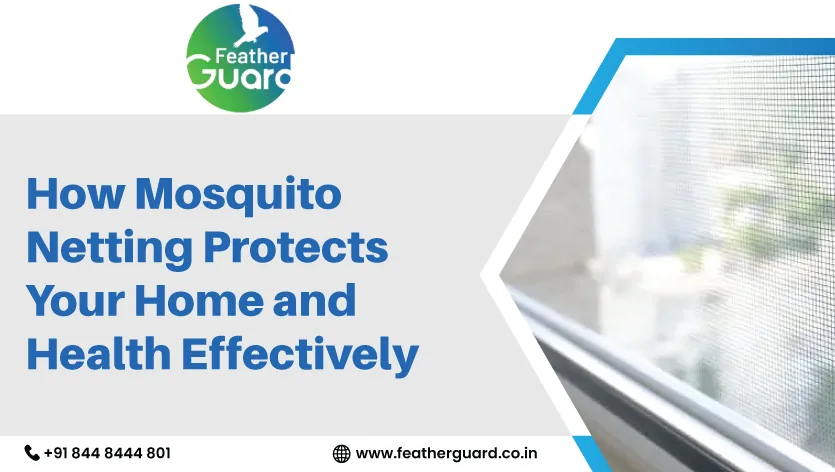 How Mosquito Netting Protects your Home and Health Effectively