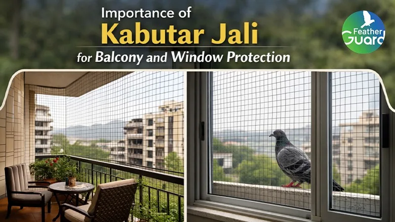 Importance of Kabutar Jali for Balcony and Window Protection