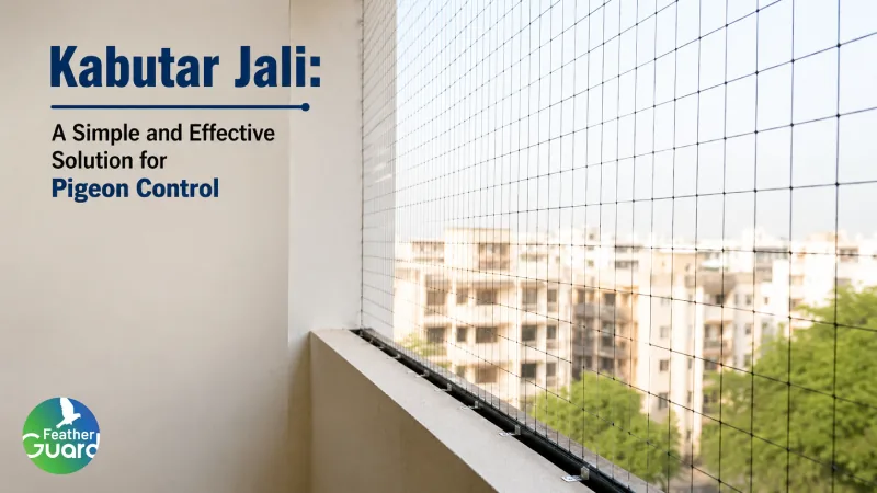 Kabutar Jali a Simple and Effective Solution for Pigeon Control