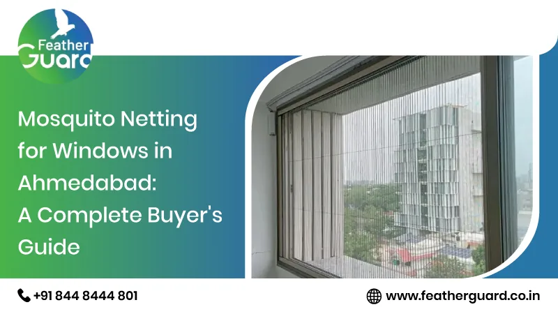 Mosquito Netting for Windows in Ahmedabad a Complete Buyer S Guide