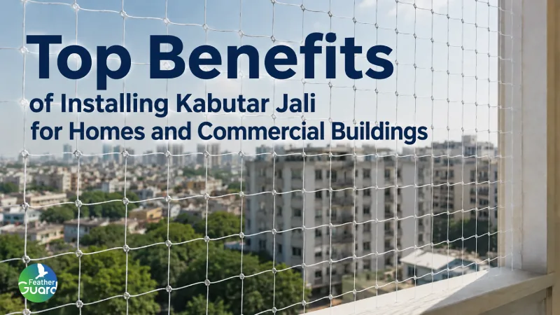Top Benefits of Installing Kabutar Jali for Homes and Commercial Buildings