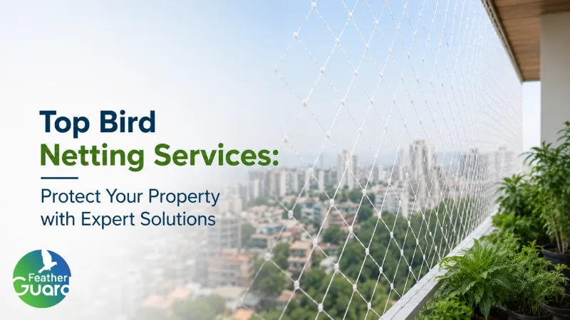 Top Bird Netting Services Protect your Property with Expert Solutions