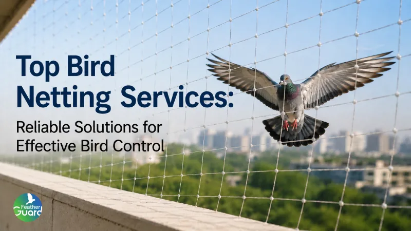 Top Bird Netting Services Reliable Solutions for Effective Bird Control