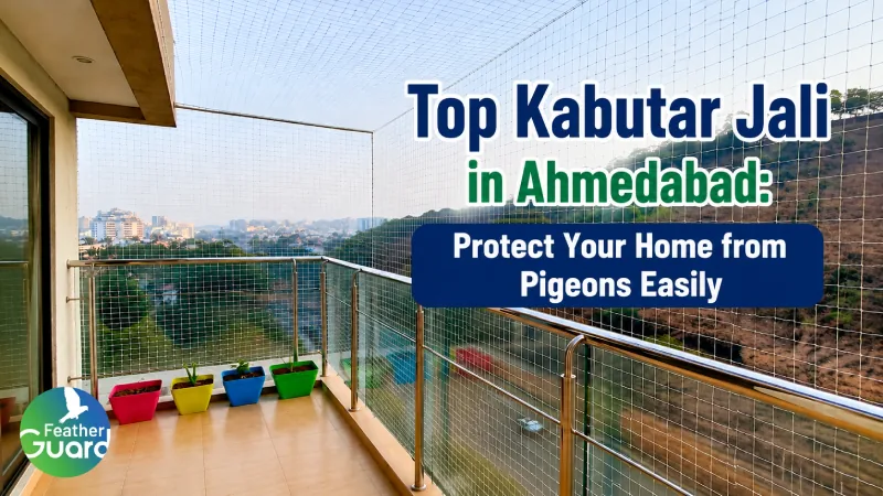 Top Kabutar Jali in Ahmedabad Protect your Home from Pigeons Easily