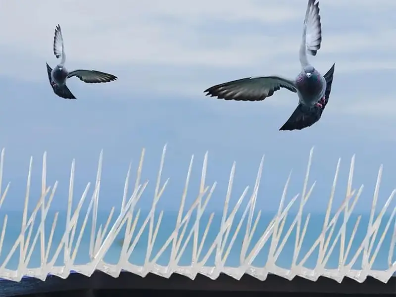 Bird Netting