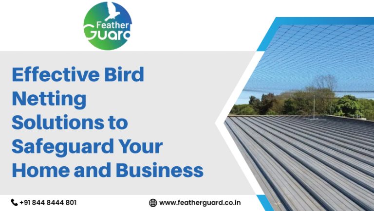 Effective Bird Netting Solutions to Safeguard Your Home and Business