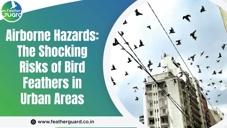 Airborne Hazards: The Shocking Risks of Bird Feathers in Urban Areas