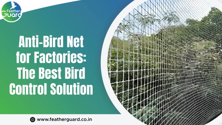 Anti-Bird Net for Factories: The Best Bird Control Solution