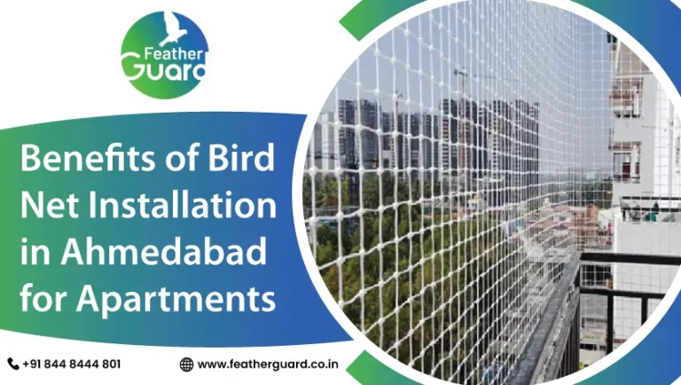Benefits of Bird Net Installation in Ahmedabad for Apartments