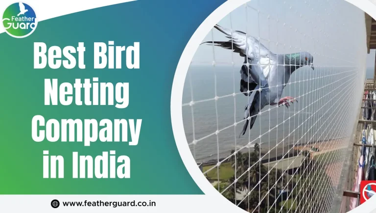 Best Bird Netting Company in India