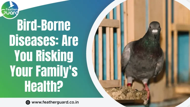 Bird-Borne Diseases: Are You Risking Your Family’s Health?
