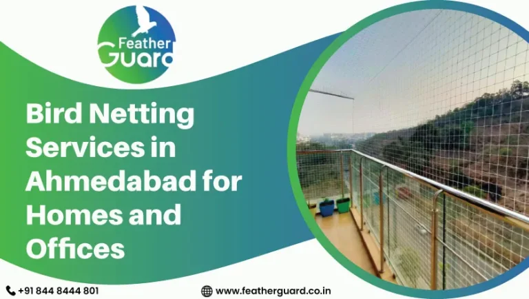 Bird Netting Services in Ahmedabad for Homes and Offices