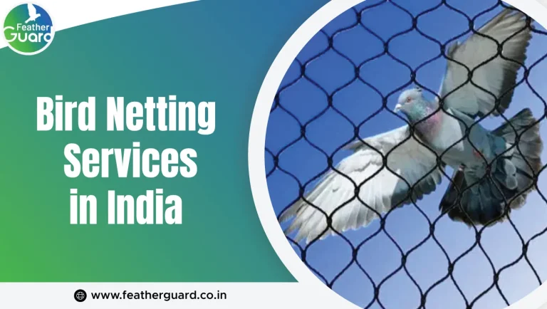 Bird Netting Services in India