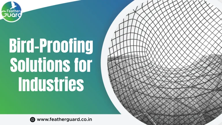Bird-Proofing Solutions for Industries