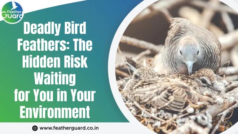 Deadly Bird Feathers: The Hidden Risk Waiting for You in Your Environment