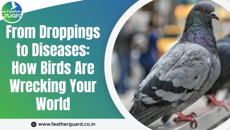 From Droppings to Diseases: How Birds Are Wrecking Your World