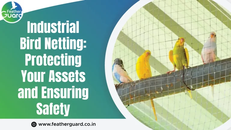 Industrial Bird Netting: Protecting Your Assets and Ensuring Safety