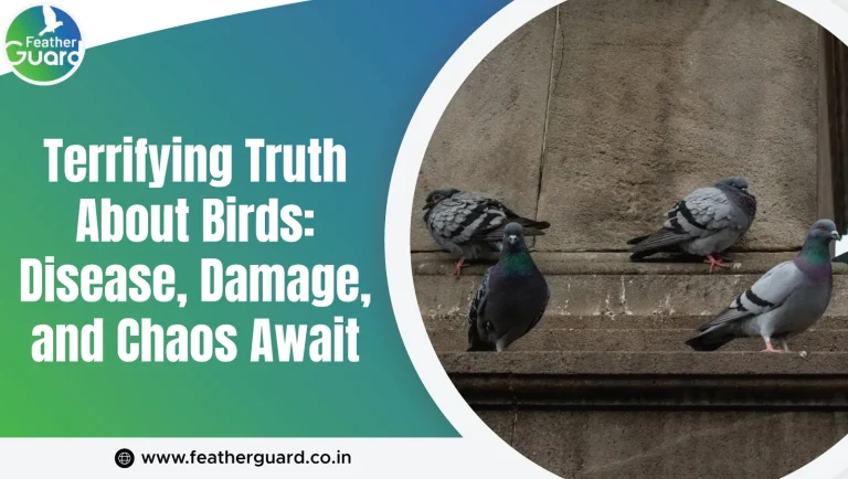 Terrifying Truth About Birds: Disease, Damage, and Chaos Await