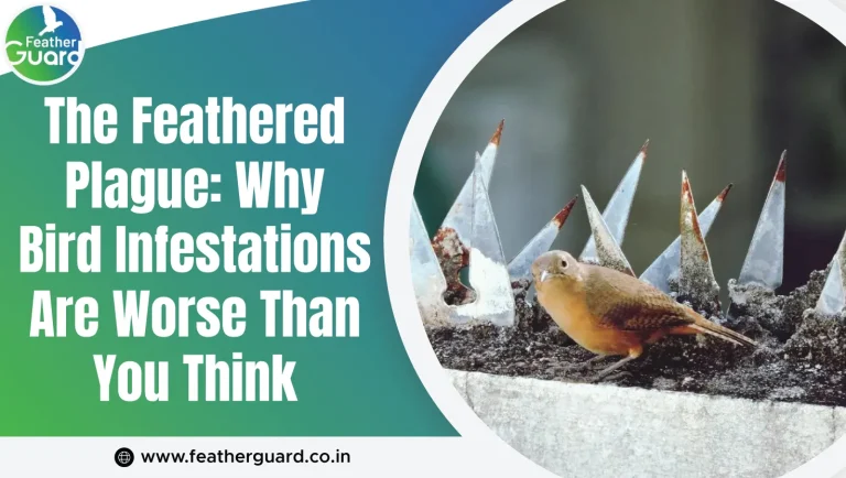 The Feathered Plague: Why Bird Infestations Are Worse Than You Think