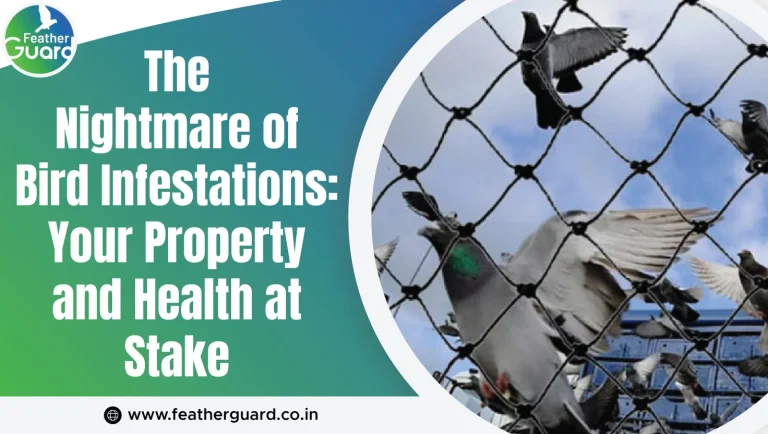 The Nightmare of Bird Infestations: Your Property and Health at Stake