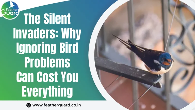 The Silent Invaders: Why Ignoring Bird Problems Can Cost You Everything