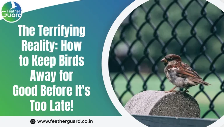 The Terrifying Reality: How to Keep Birds Away for Good Before It’s Too Late!