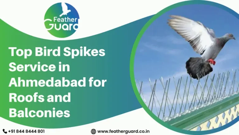 Top Bird Spikes Service in Ahmedabad for Roofs and Balconies