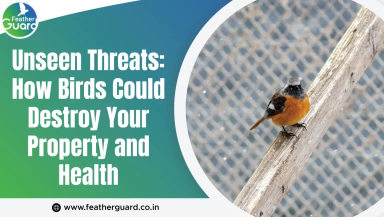 Unseen Threats: How Birds Could Destroy Your Property and Health