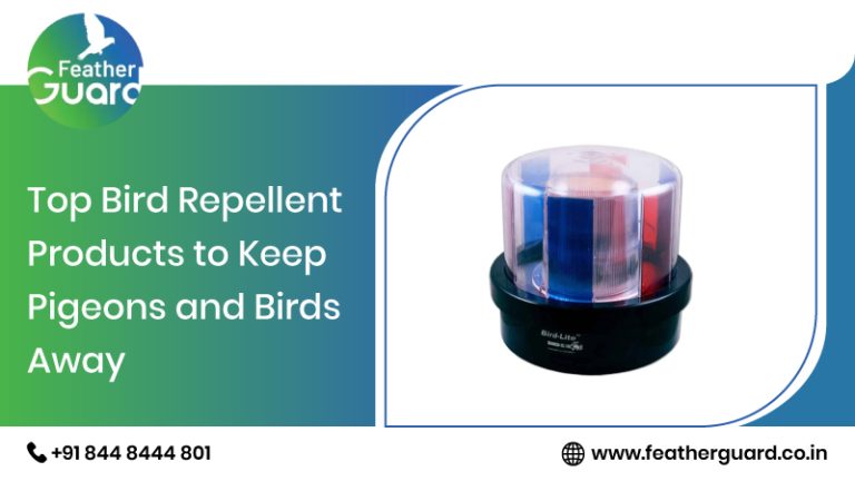 Top Bird Repellent Products to Keep Pigeons and Birds Away