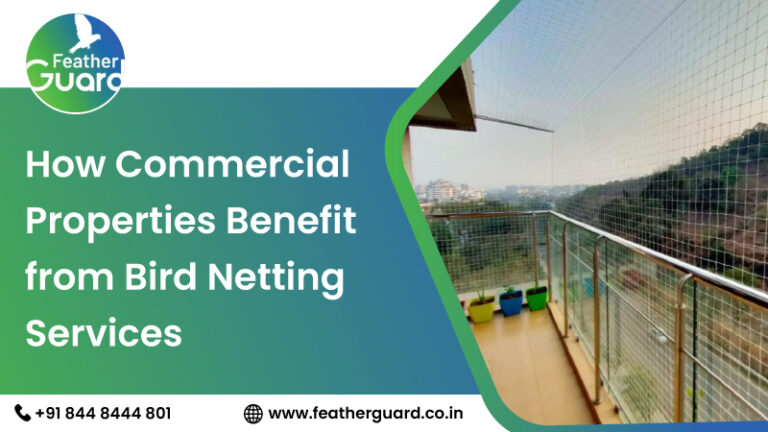 How Commercial Properties Benefit from Bird Netting Services