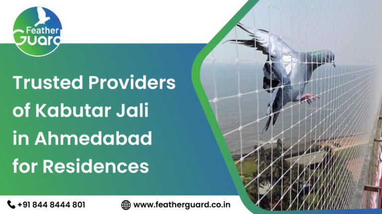 Trusted Providers of Kabutar Jali in Ahmedabad for Residences