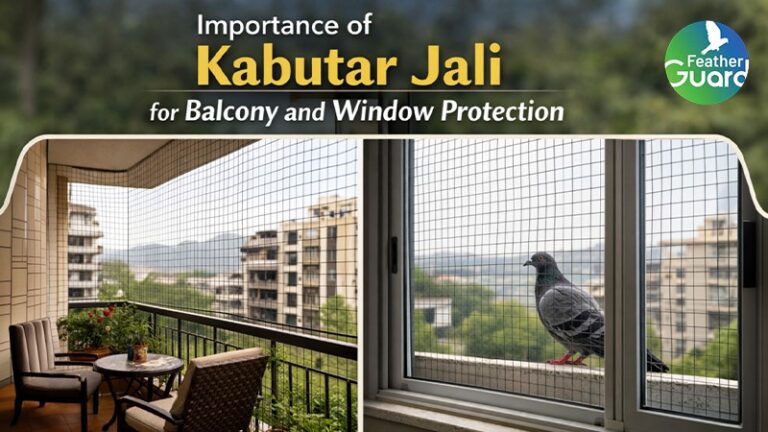 Importance of Kabutar Jali for Balcony and Window Protection
