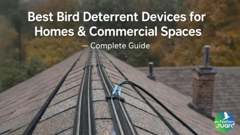 Best Bird Deterrent Devices for Homes & Commercial Spaces – Complete Guide
