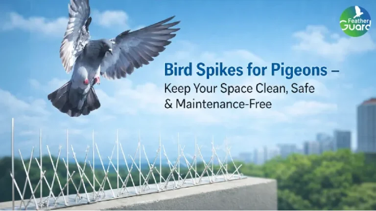 Bird Spikes for Pigeons – Keep Your Space Clean, Safe & Maintenance-Free