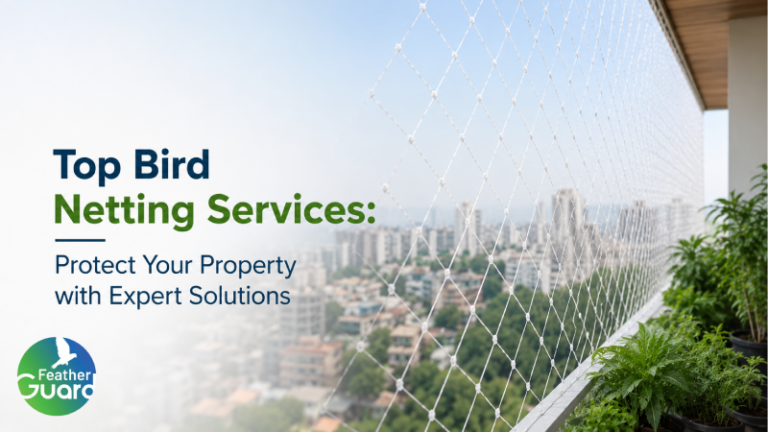 Top Bird Netting Services: Protect Your Property with Expert Solutions