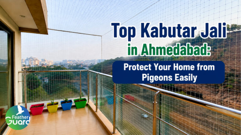 Top Kabutar Jali in Ahmedabad: Protect Your Home from Pigeons Easily