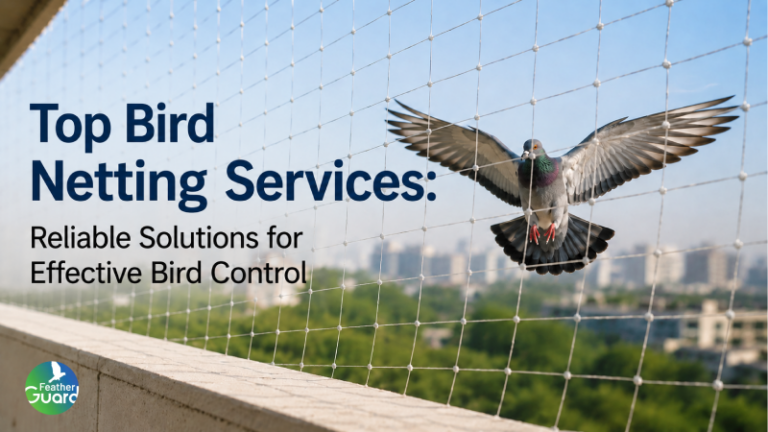 Top Bird Netting Services: Reliable Solutions for Effective Bird Control