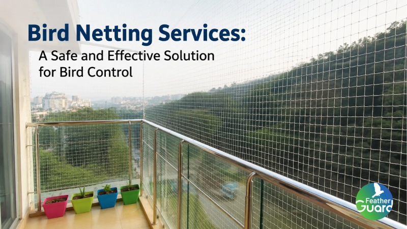 Bird Netting Services: A Safe and Effective Solution for Bird Control