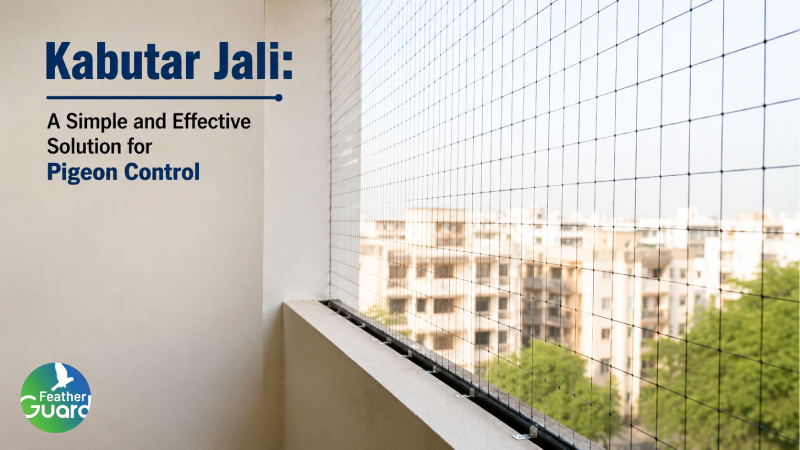 Kabutar Jali: A Simple and Effective Solution for Pigeon Control